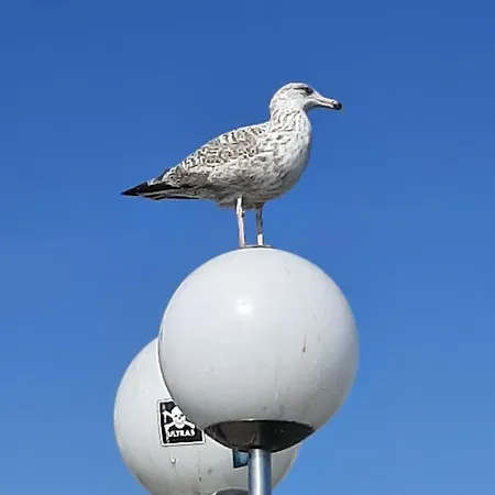 Penthouse Ferienwohnung Auszeit, gerne mit Hund, WLAN inkl. Laboe Exterior foto