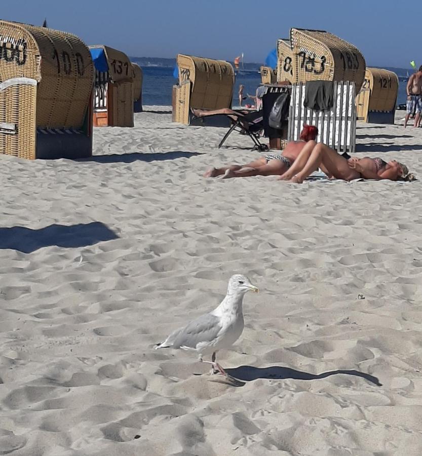 Penthouse Auszeit, Gerne Mit Hund, Wlan Inkl. Apartament Laboe